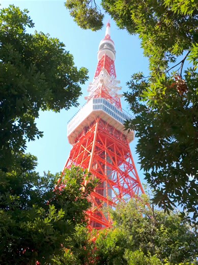 Exploring Tokyo Tower: A Unique Journey