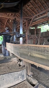 Processing timber | Sawmill & Woodworking