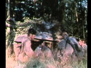 Die Panzergrenadiertruppe mit dem Schützenpanzer MARDER