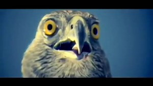 Muse Is A Word Which Means To Think