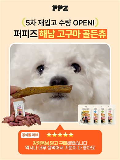 해남 고구마 골든츄 강형욱 제조 반려견 간식 5차 재입고