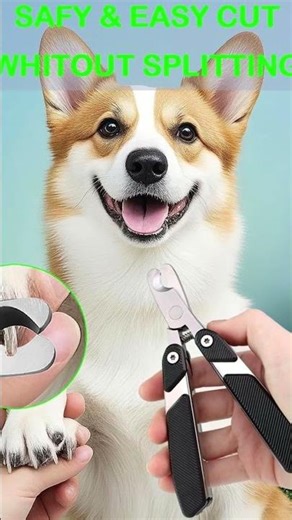 Best Dog Nail Clippers & Cat Nail Trimmer | Safe & Easy Grooming at Home