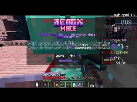 Playing Minecraft on the Aereon server