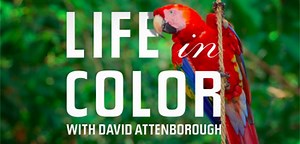 Dazzling Doc Series 'Life in Color with David Attenborough' Trailer | FirstShowing.net