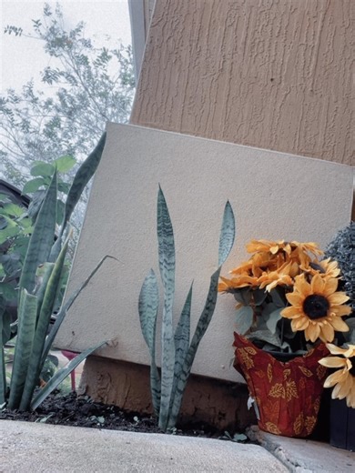 Richard Jackson on Reels