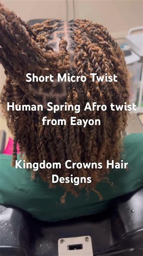 #hairstyles #knotlessbraids #protectivestyles #microtwists
