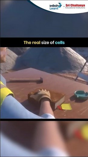 The Real Size of Cells 🔬 | How Small Are Cells Really? | #shorts #education #shorts