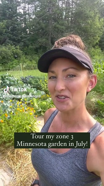 240 Acre Homestead Garden Tour & Planting Strategies