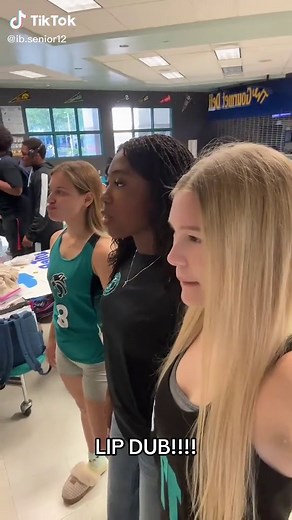 IB school spirit if u wanna call it that #ibstudents #tiktok #highschool #senior #ib #ibcasproject