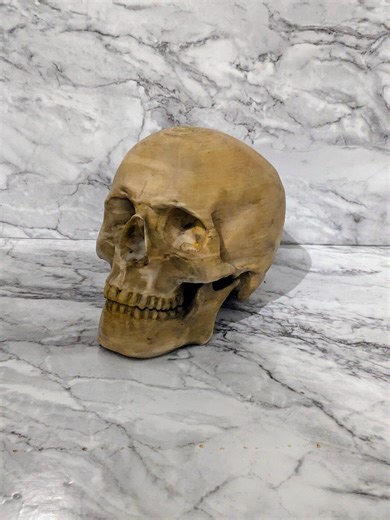 Full Size Human Skull Replica. Goth Home Decor. Macabre - Etsy