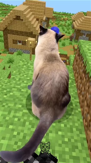 Cat On Craft on Instagram: "Cat in Minecraft gets roasted #reels #minecraft #cat #funny"