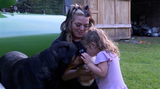 A toddler's best friend: Missing 2-year-old found safe sleeping in the woods using her dog as a pillow