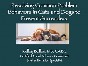 Watch Resolving Problem Behaviors in Cats and Dogs to Prevent Surrenders Online | Vimeo On Demand