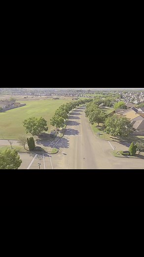 Tree Trimming Job. Lifting the Canopy throughout the neighborhood to allow visibility for Safety and Ease of Maintenance. | Ground Effects, LLC
