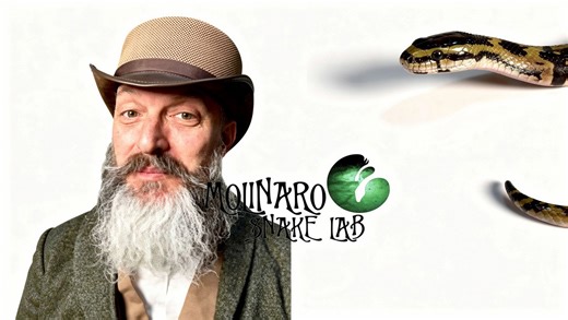 This Python egg is not responding. Let's figure out what happened!