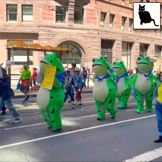 Frogs and Freedom at #NoKings San Francisco 3-28-26 🐸🇺🇸