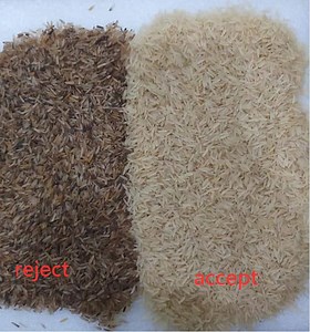 [Hot Item] All Kinds of Rice Color Sorter Color Separation Machine