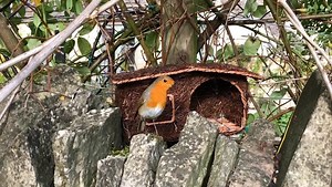 75 reactions · 7 comments | Introducing the new Cabin Nester from...