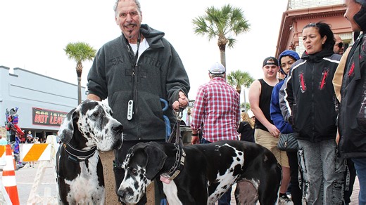 Lots of motorcycles and some large dogs arrive for Daytona Bike Week