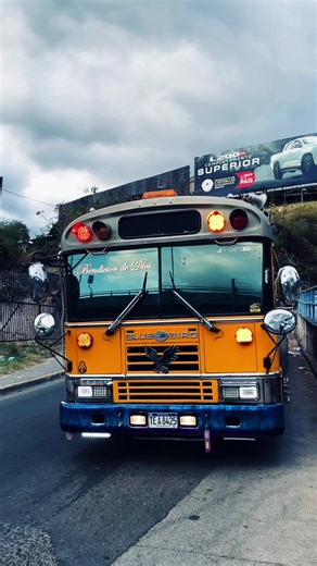 The Best of Bus Customizations and Culture