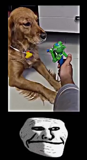 Cute troll 😹 (@cute.troll1)’s videos with nhạc nền - Cute troll 😹