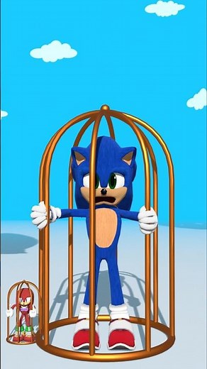 Sonic and Knuckles caught in a loop #sonic #animation #shorts