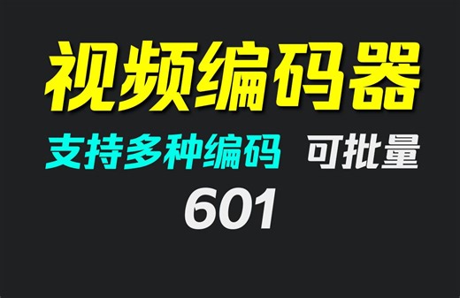 如何给视频编码？它有多种编码格式可批量