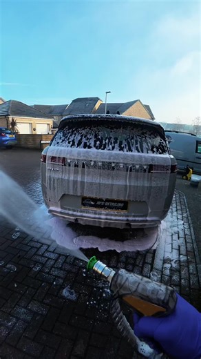 Satisfying Rinse: ASMR Detailing Experience