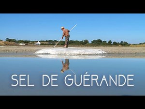 The salt marshes of Guérande