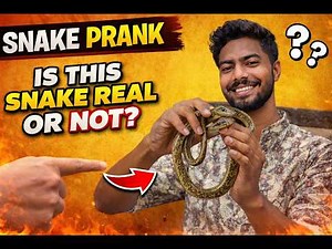 Snake Prank Real ya Fake?(Scary Reactions)🐍#prank #snake #explore #viral #funny #comedy #explorepage