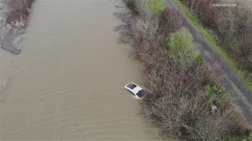 Driver and dog rescued after car gets stuck in floodwaters in Forest Grove
