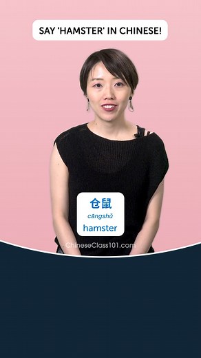 What if you could follow a Chinese course with short lessons, plenty of study and review tools? Join millions of learners already learning with ChineseClass101.com !  The biggest library of online language lessons! How? 朗 ‍♂️ Choose your Pathway and Learn Chinese! Sign up Now: https://bit.ly/3ujBYYT #ChineseClass101 #ChineseLanguage | Learn Chinese - ChineseClass101.com | Facebook