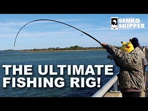 Amazing Method for Saltwater Bridge Fishing in Florida!