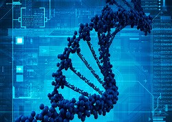 2014 - 2015 Honors Biology