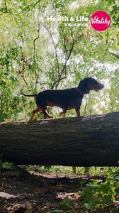 1.4K views · 472 reactions | Proactive health and life insurance that helps you live longer, healthier, happier life. Move forward with Vitality. | Vitality UK | Facebook