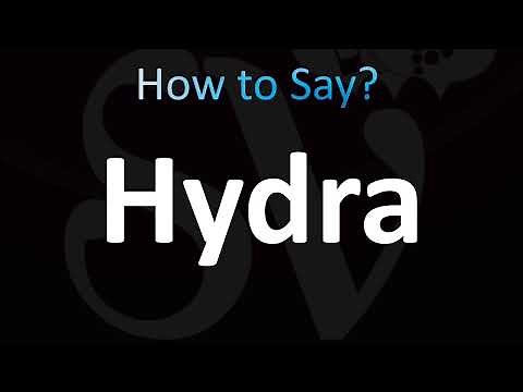 How to Pronounce Hydra (CORRECTLY!)