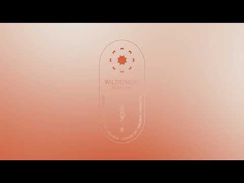 Wilderado - "Surefire" (Official Audio)