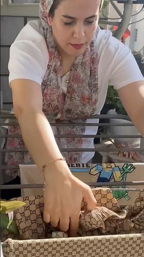 Laundry Rhythm | ASMR Laundry Routine | No Talking Peaceful Vlog