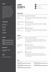Australian Resume Examples And Templates To Land The Best Jobs