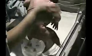 Development And Discovery