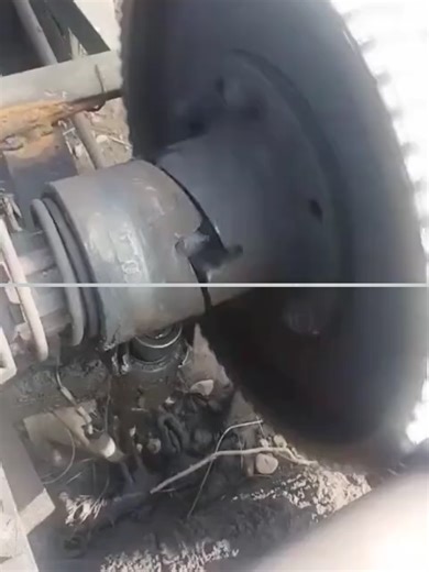 Video của ideas_fox (@ideas_fox) với bản nhạc Cat in the Red Light - Cat Manta