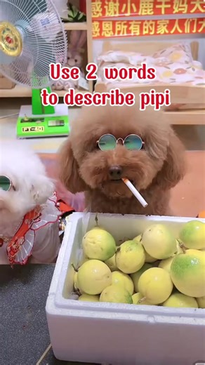 Use 2 words to describe pipi