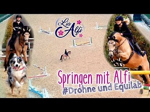 Lia & Alfi - Springen mit Alfi und Equilab - Aufnahmen mit Drohne