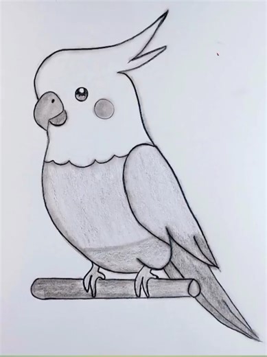 Parrot drawing #parrot