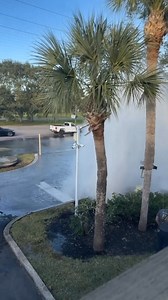 22K views · 82 reactions | Outside English park condo. Car ran into a fire hydrant | The Space Coast Rocket | Facebook