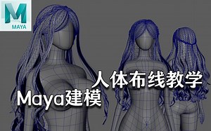 【Maya】人体建模知识点来啦！这个视频全是干货！人体建模卡线布线需要注意的点，附赠人体基础模型！maya人物建模