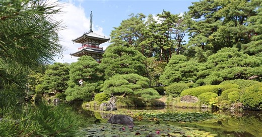 Sacred Planet with Gulnaz Khan:Saving the World's Forests Season 2025 Episode 9/24/2025