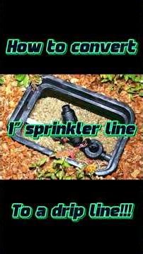 How to convert a sprinkler line to a drip line. Converting to a drip system.
