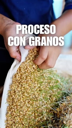 What starts with GRAINS ends up as something DIFFERENT