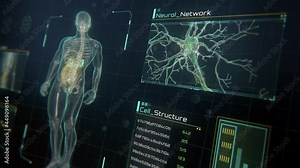 Close Up perspective view of Human Male Anatomy Scan on Futuristic Touch Screen Interface showing bones, organs, and neural network activity. Concept: In the Near Future of Medicine and Healthcare.